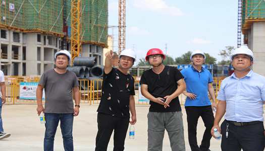 意昂2平台登录董事会巡检圆满完成